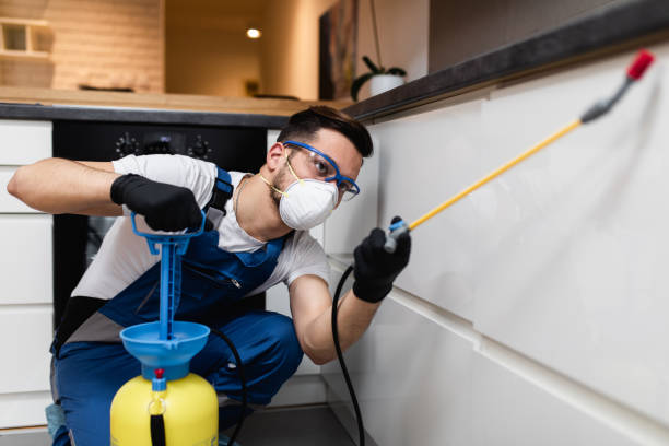 Best Cockroach Control Services  in Geneva, IL
