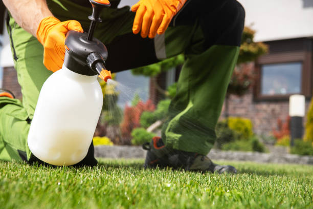 Best Bed Bug Extermination  in Geneva, IL