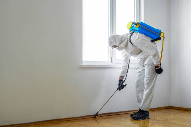 Best Affordable Pest Control Services  in Geneva, IL