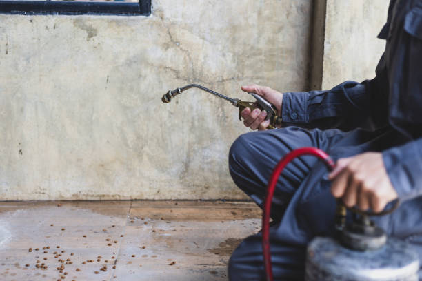 Best Mosquito Control Services  in Geneva, IL